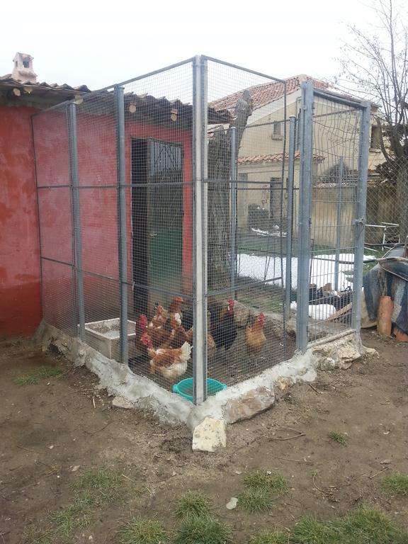 El Refugio Del Dragon Hostel Arcones Kültér fotó