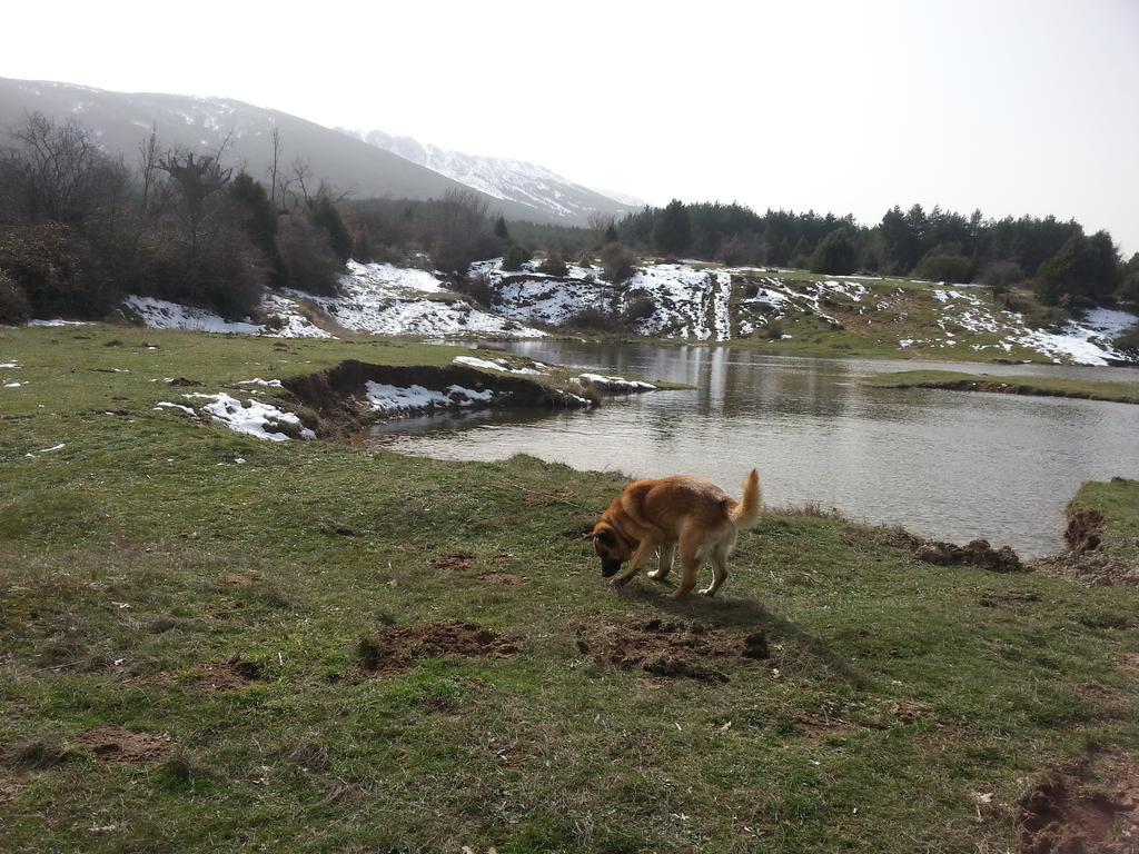 El Refugio Del Dragon Hostel Arcones Kültér fotó